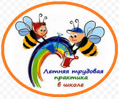 Трудовая практика.