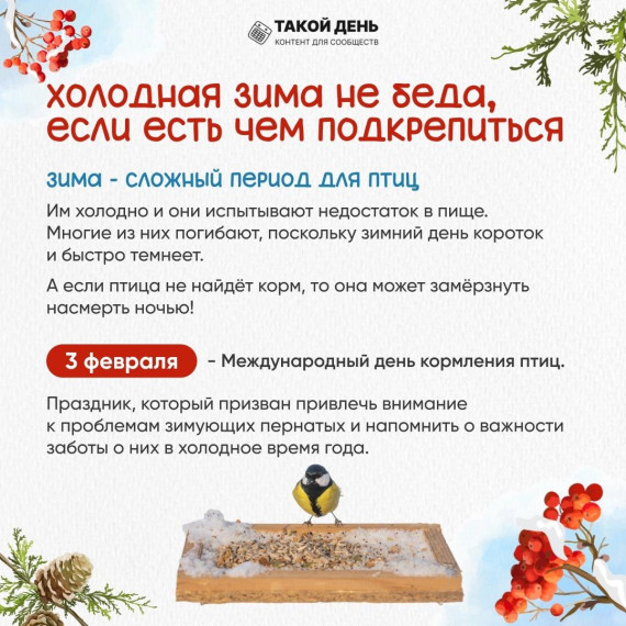 Международный день кормления птиц.